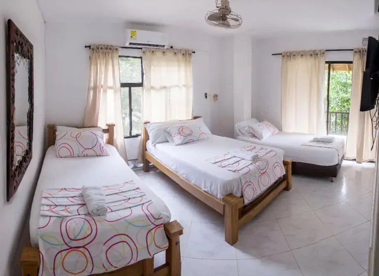 138641696 1522773081266048 1762720539265866353 n 768x559