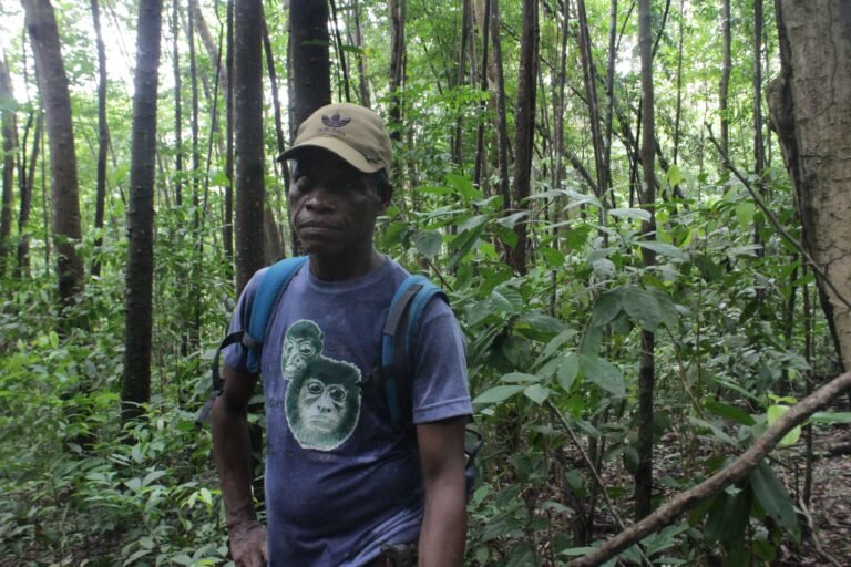 Copia de IMG 9503 768x512