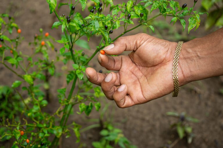 13092025fotografia sin titulo DSC09580 768x512