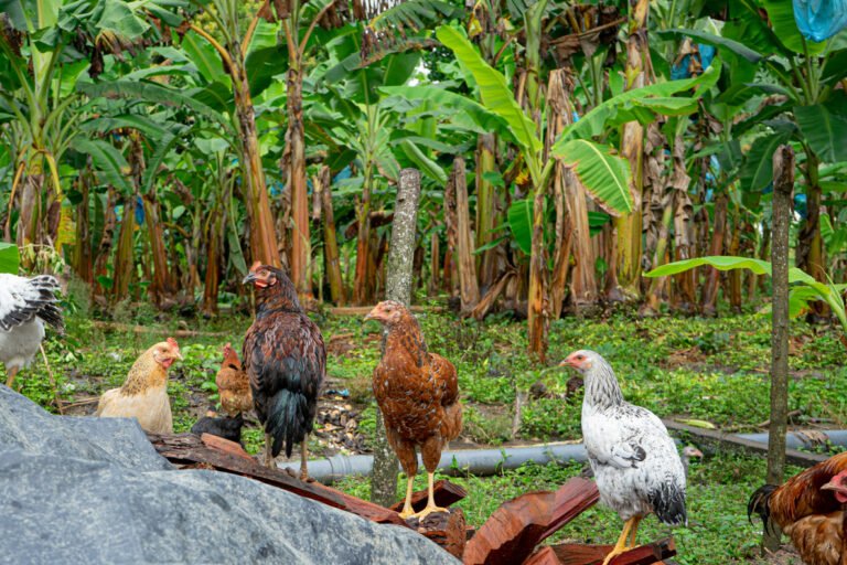 13092025fotografia sin titulo DSC09599 768x512