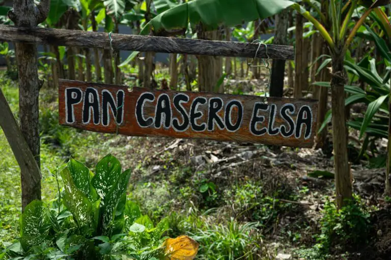 14092025fotografia sin titulo DSC09842 768x512