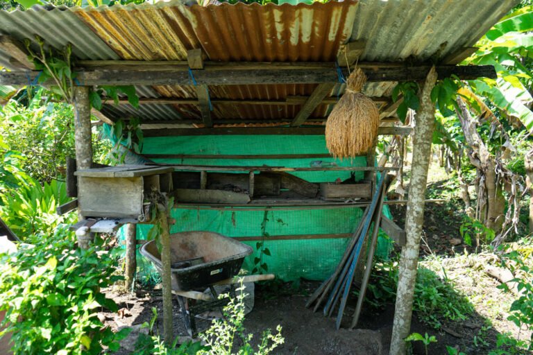 14092025fotografia sin titulo DSC09932 768x512