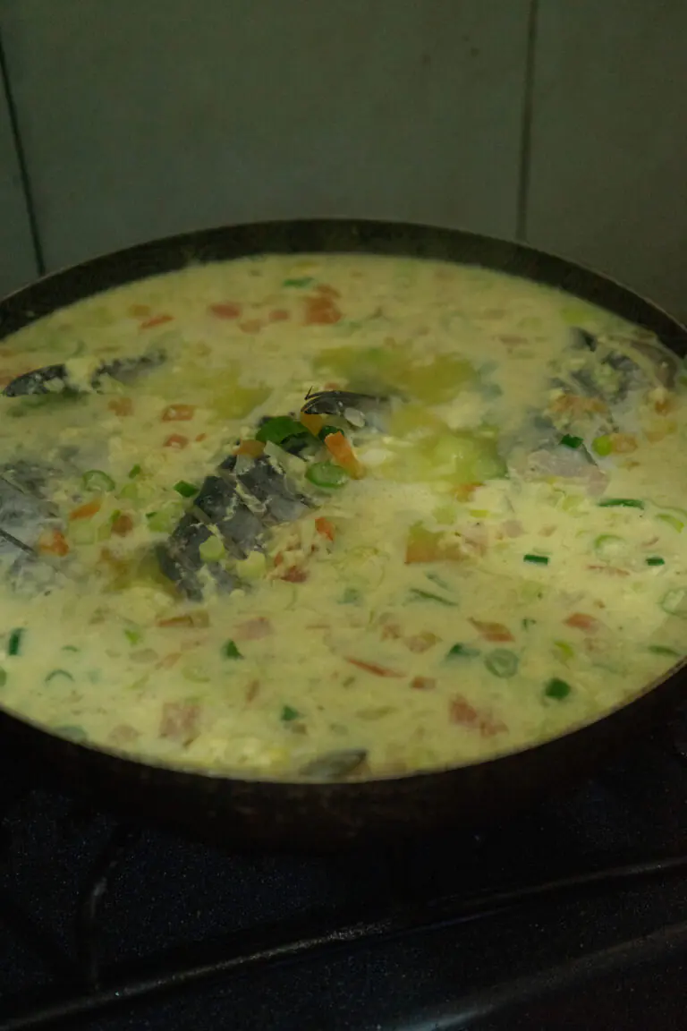 16092025fotografia sin titulo DSC00447 768x1152