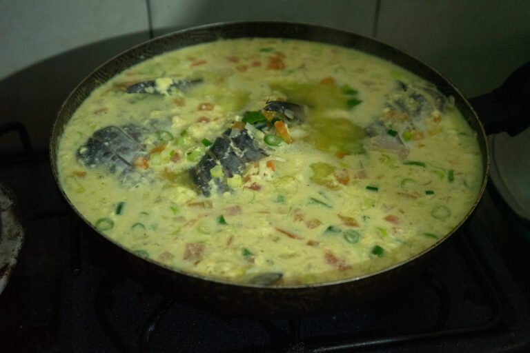 16092025fotografia sin titulo DSC00448 768x512