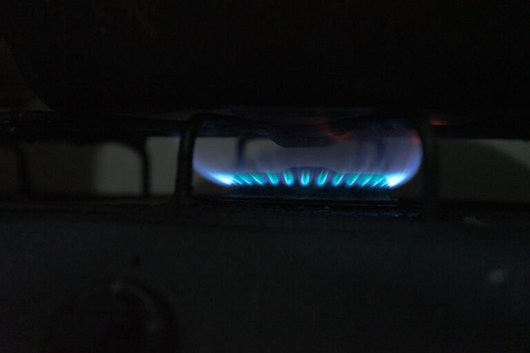 16092025fotografia sin titulo DSC00458 768x512