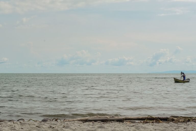 Copia de DSC09085 768x512