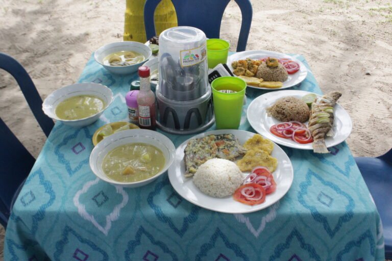 Copia de IMG 9682 768x512