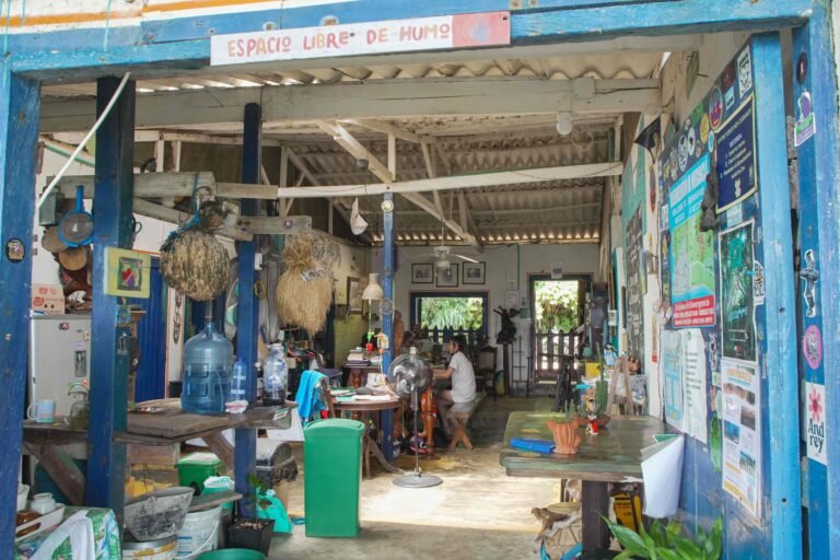 DSC09049 compressed 768x512