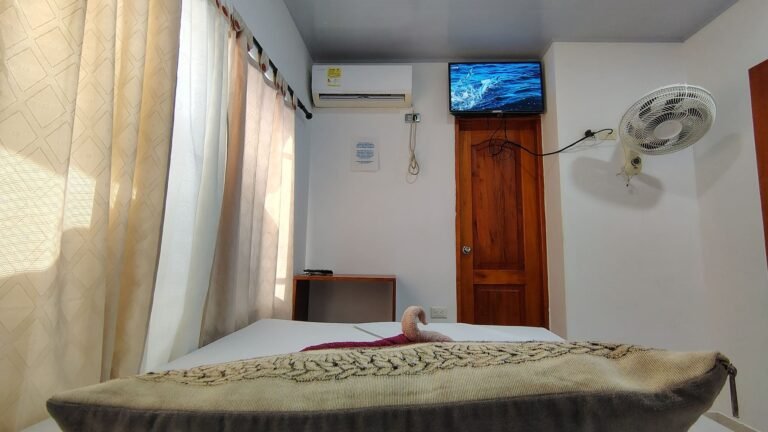 IMG 20260524 155151606 HDR 768x432
