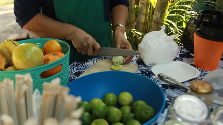 verdevita 768x432